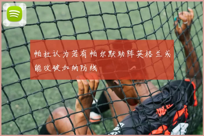 帕杜认为若有帕尔默助阵英格兰或能攻破加纳防线